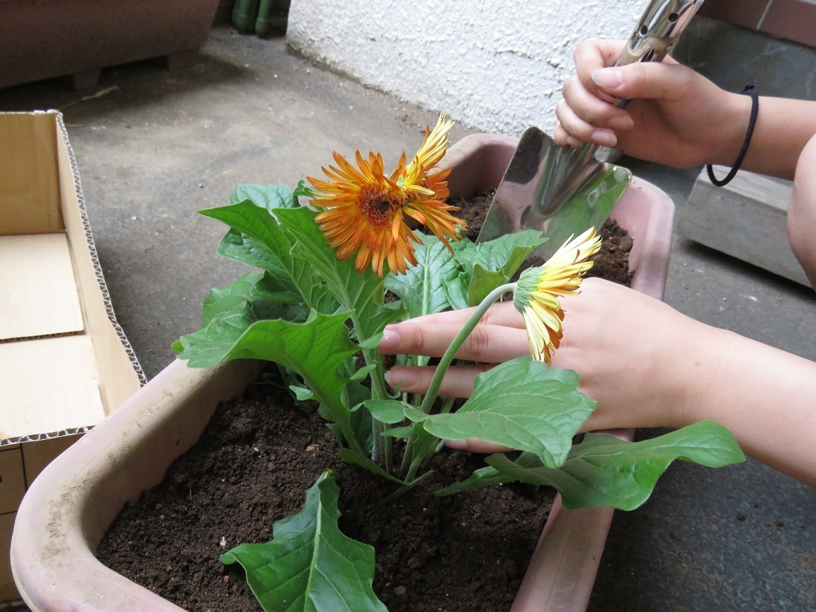 花壇の手入れの様子。