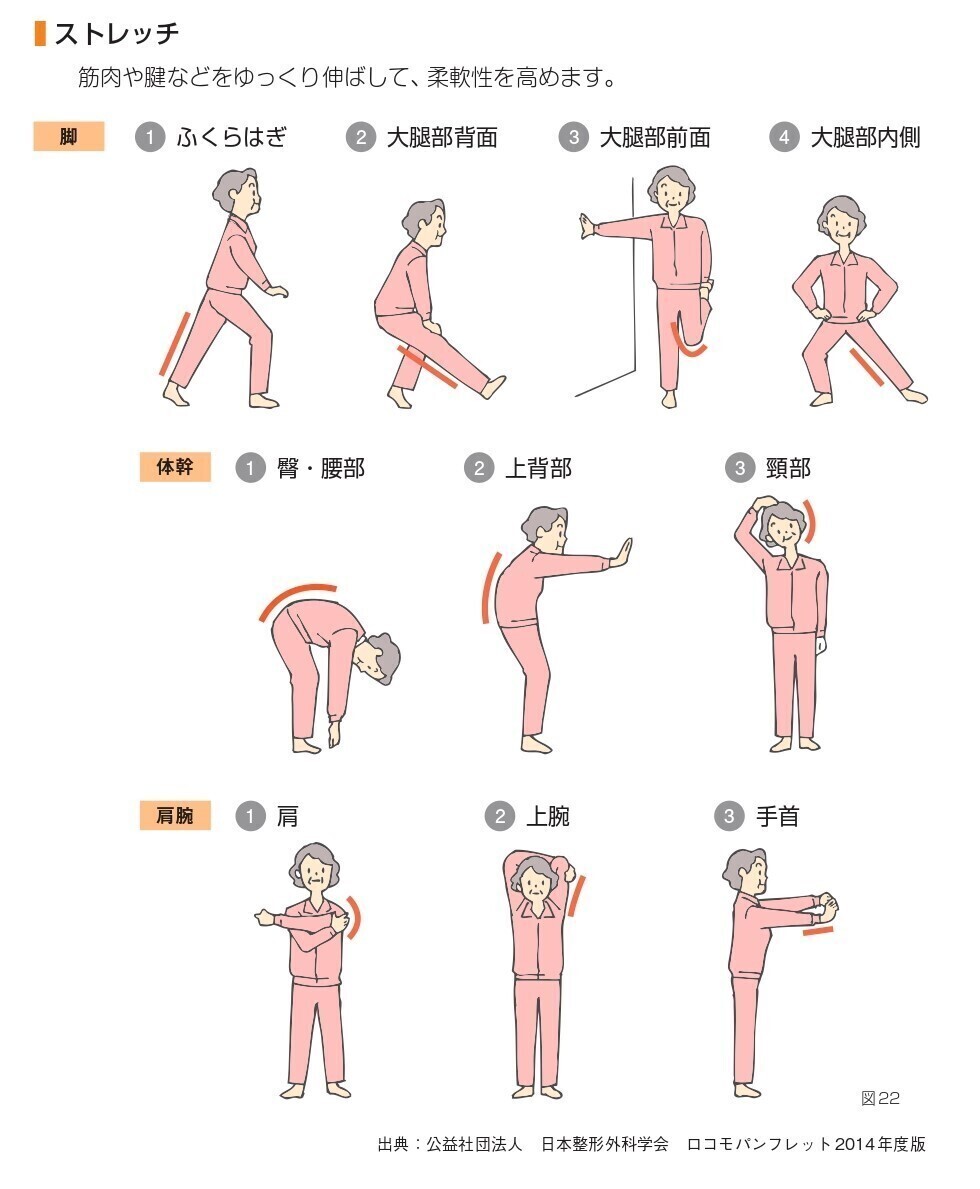 生活不活発病とは？｜日本赤十字社千葉県支部